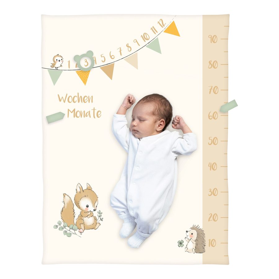 Baby Best Babydecke Microfaserflausch Meilenstein 75x100 cm von Baby Best
