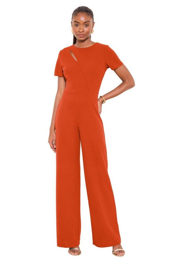LIPSY Jumpsuit Lipsy Jumpsuit mit kurzen Ärmeln, Regular (1-tlg) von Lipsy