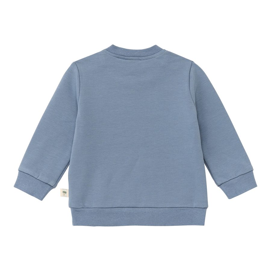 Bornino Wild Nature Sweatshirt Dino von Bornino