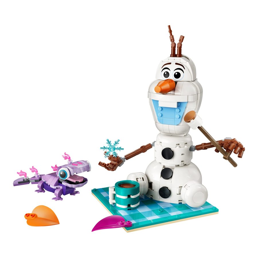 Lego® 43287 Picknickspaß mit Olaf und Bruni von Lego